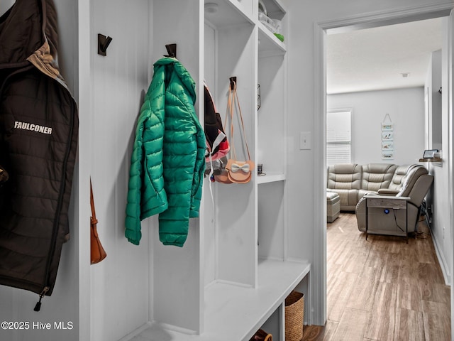 mudroom featuring wood-type flooring