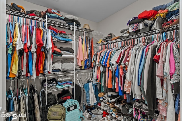 view of walk in closet