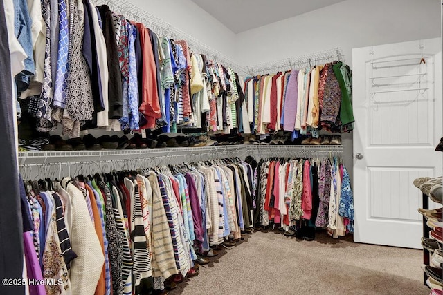 walk in closet with carpet floors