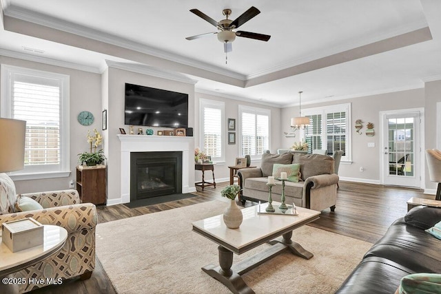 living room featuring a raised ceiling, crown molding, ceiling fan, and dark hardwood / wood-style flooring