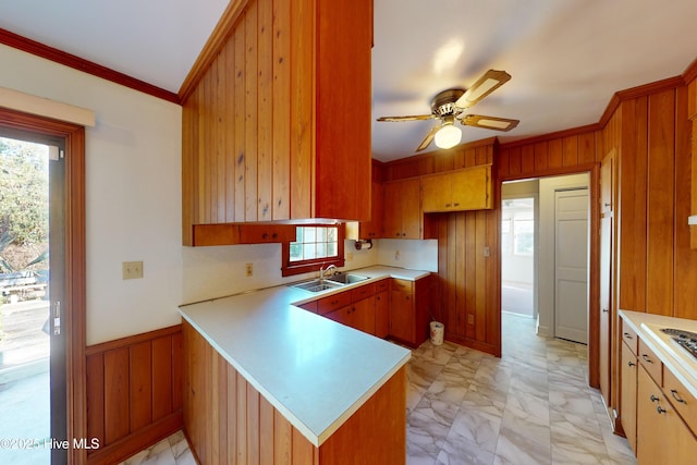 kitchen with sink, wood walls, ornamental molding, kitchen peninsula, and ceiling fan