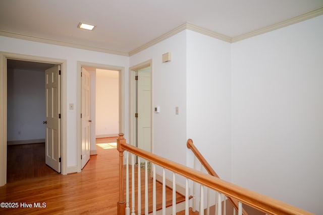 hall with ornamental molding and light hardwood / wood-style flooring