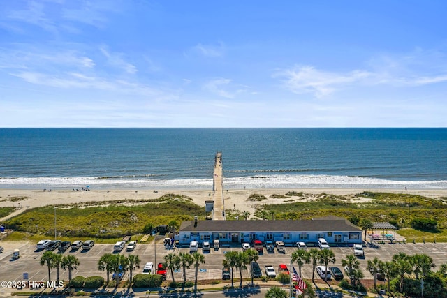 bird's eye view with a water view and a view of the beach