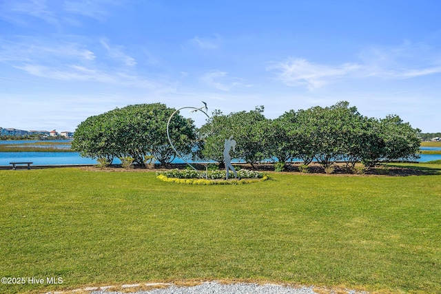 view of property's community featuring a water view and a lawn