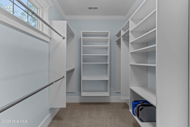 walk in closet with light carpet