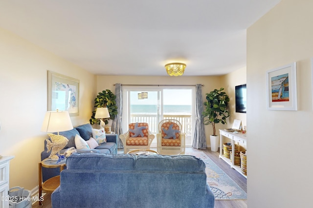 living room featuring hardwood / wood-style floors