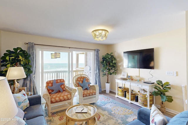 living room with hardwood / wood-style flooring