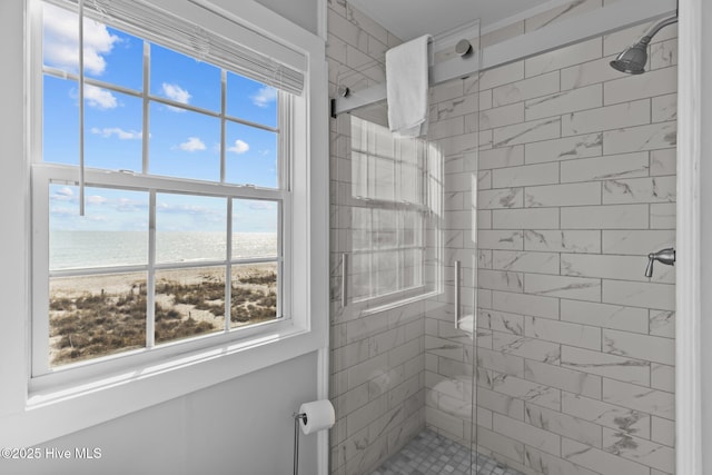 bathroom featuring a water view, a beach view, and a shower with shower door