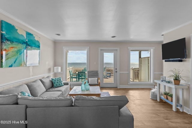 living room featuring crown molding and light hardwood / wood-style flooring