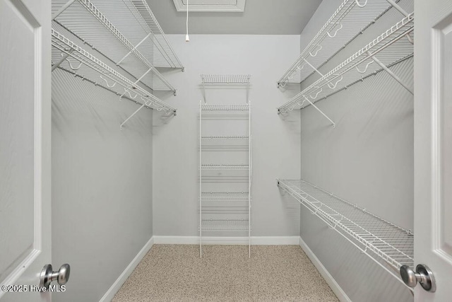 view of spacious closet