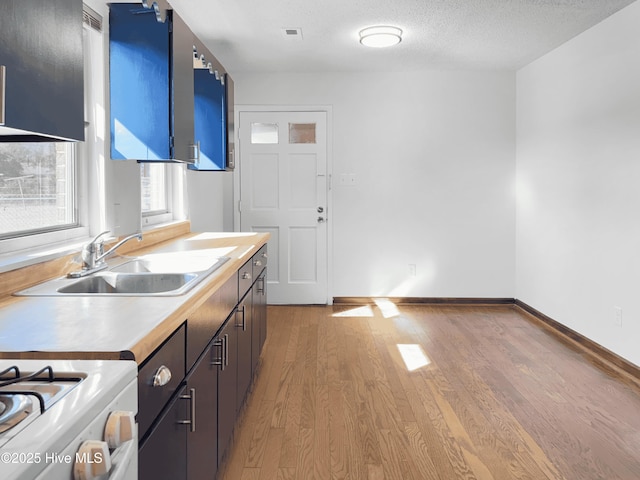 kitchen with sink, a textured ceiling, butcher block countertops, and light hardwood / wood-style flooring