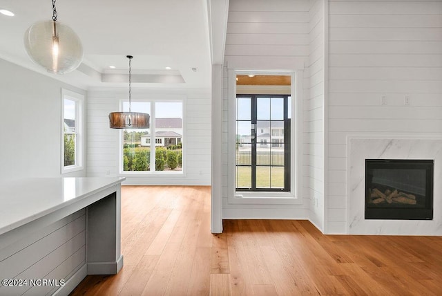 interior space featuring plenty of natural light, a premium fireplace, a tray ceiling, and light hardwood / wood-style floors