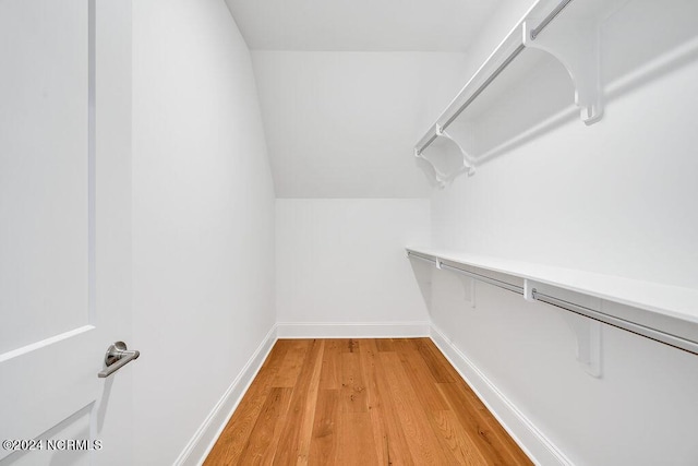 spacious closet with hardwood / wood-style flooring