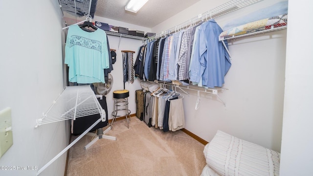 spacious closet featuring carpet