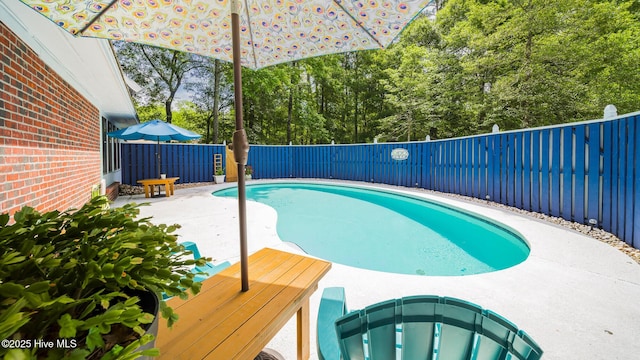 view of pool with a patio