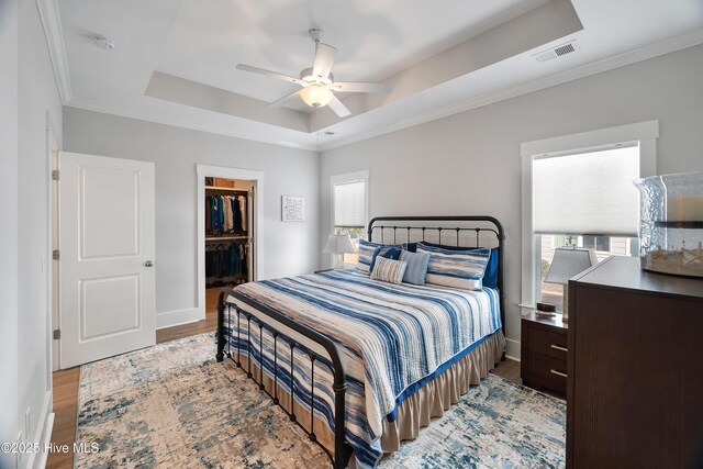 bedroom with a spacious closet, ceiling fan, a tray ceiling, light wood-type flooring, and a closet