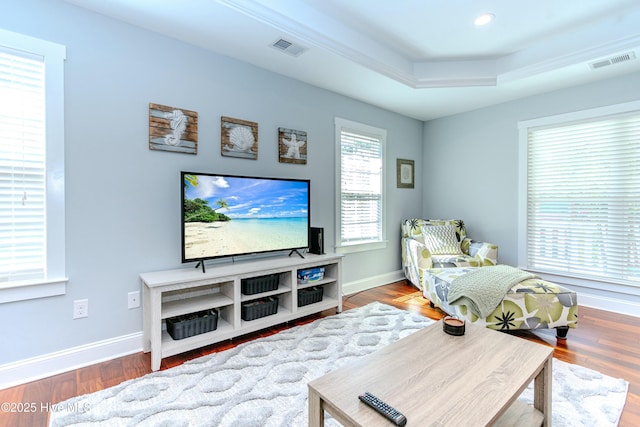 living room featuring wood-type flooring and a raised ceiling