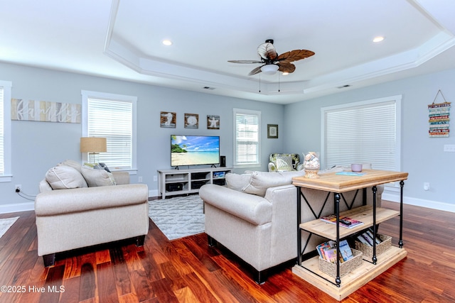 living room featuring dark wood-type flooring and a raised ceiling