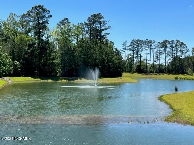 view of water feature