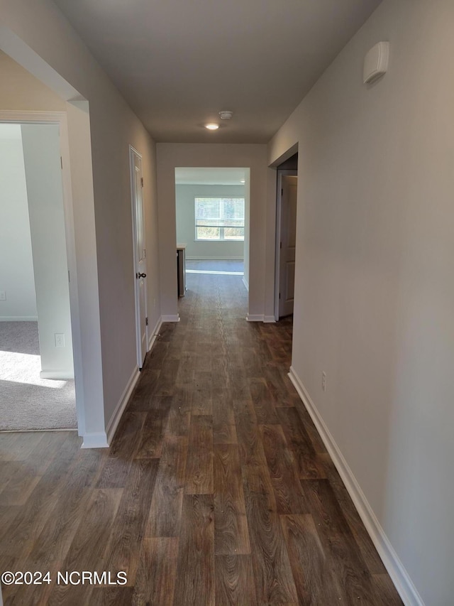 corridor with dark hardwood / wood-style floors