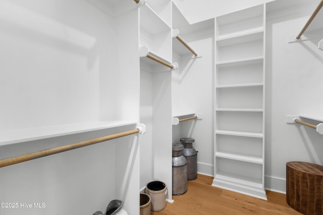 walk in closet featuring wood-type flooring