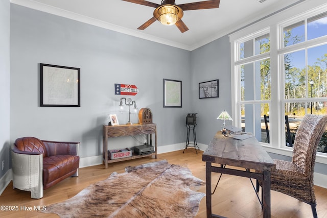 office area featuring crown molding, ceiling fan, and light wood-type flooring