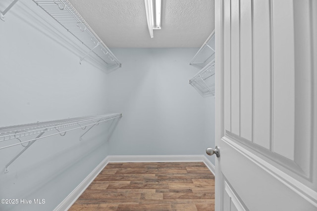 walk in closet featuring wood-type flooring