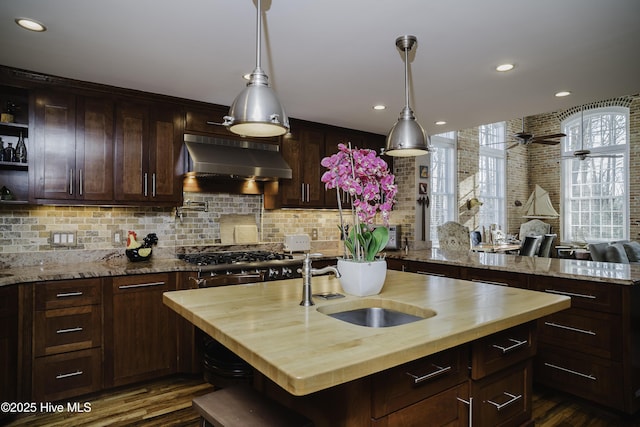 kitchen featuring butcher block counters, ventilation hood, a kitchen island with sink, dark hardwood / wood-style flooring, and sink