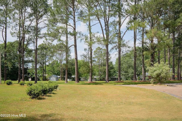 view of community featuring a yard