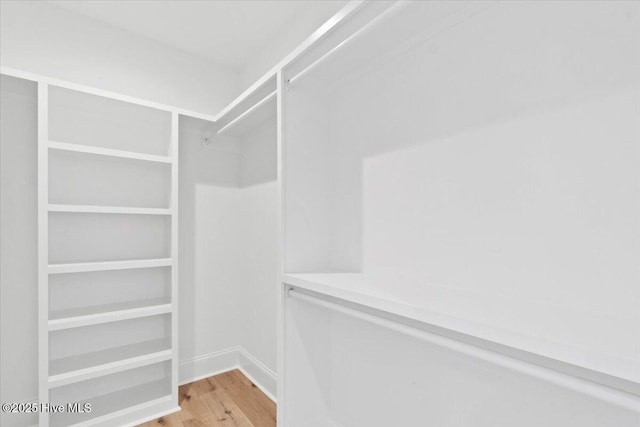 1665 Butterfly Knot Dr SW, Ocean Isle Beach, NC 28469 - walk in closet featuring light wood-type flooring