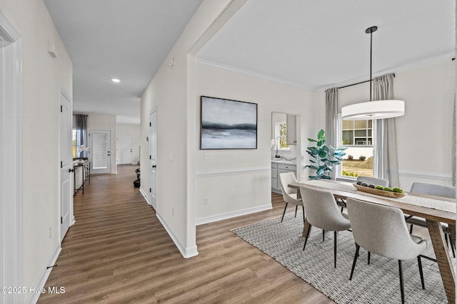 dining area with ornamental molding and dark hardwood / wood-style floors