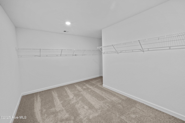 walk in closet with carpet flooring