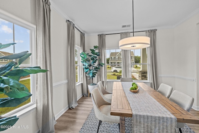 dining room featuring crown molding and plenty of natural light