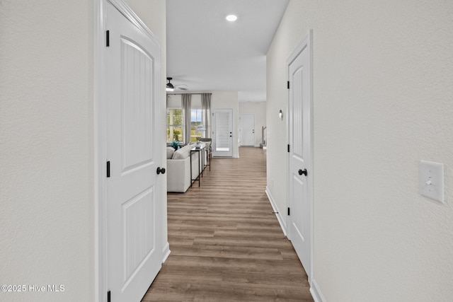 hallway featuring hardwood / wood-style flooring