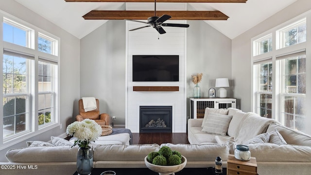 living room with beamed ceiling, plenty of natural light, dark hardwood / wood-style floors, and a fireplace