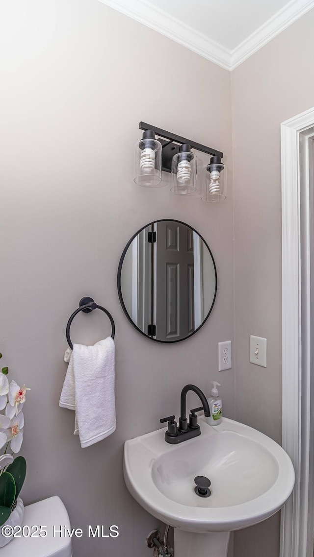 bathroom with sink, crown molding, and toilet