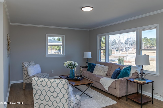 living room featuring crown molding and hardwood / wood-style floors