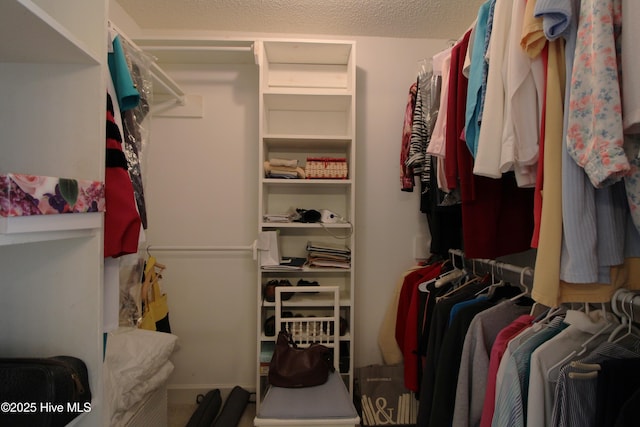 view of spacious closet