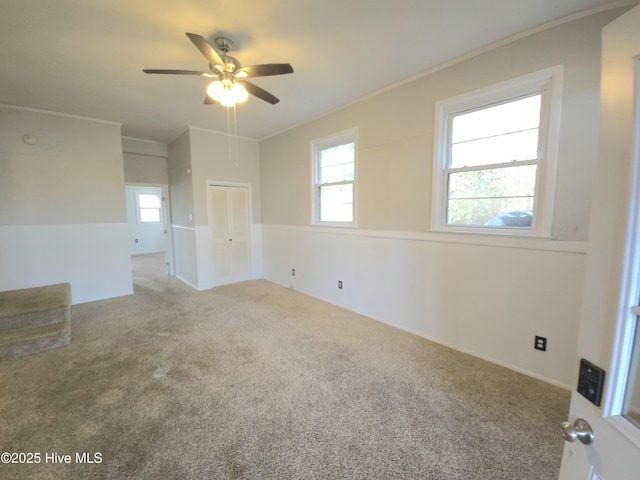 carpeted spare room featuring ceiling fan and crown molding