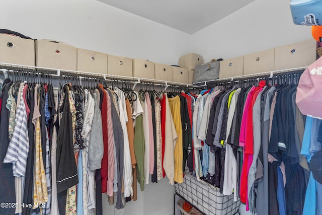 view of spacious closet