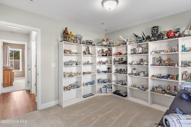 walk in closet with light colored carpet