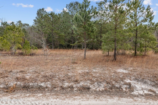 view of local wilderness