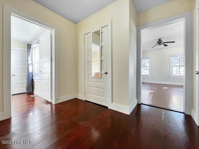 foyer featuring ceiling fan and dark hardwood / wood-style floors