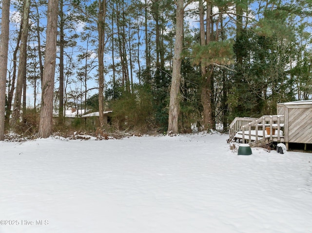 view of snowy yard