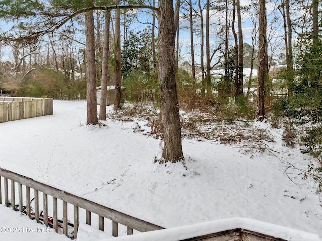 view of yard covered in snow