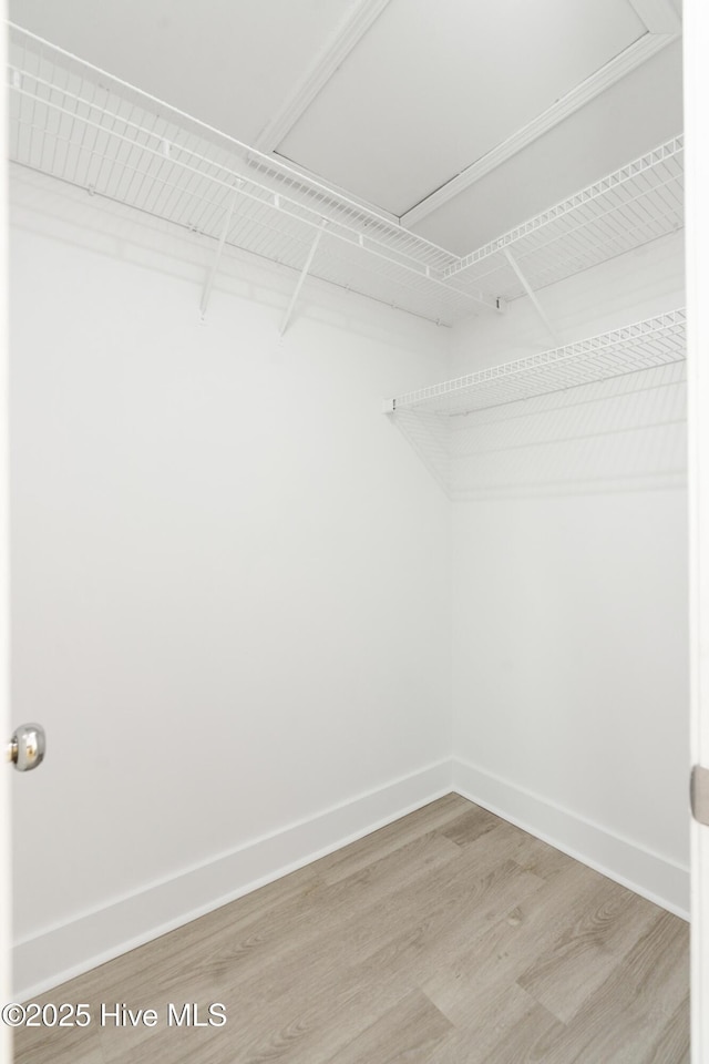 walk in closet featuring hardwood / wood-style flooring