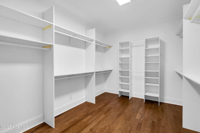 walk in closet featuring dark wood-type flooring