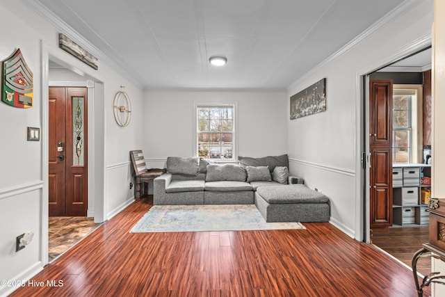 living room featuring dark wood-type flooring and crown molding