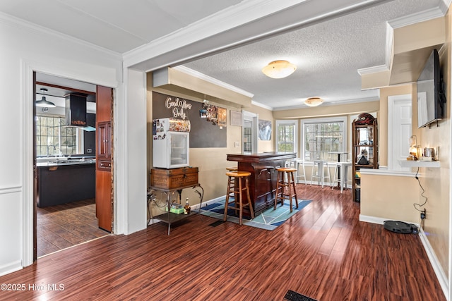 dining room with indoor bar, ornamental molding, dark hardwood / wood-style floors, and a textured ceiling