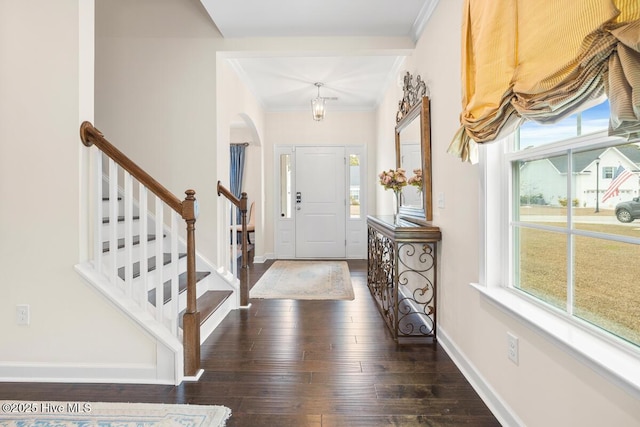 foyer featuring crown molding and dark hardwood / wood-style flooring